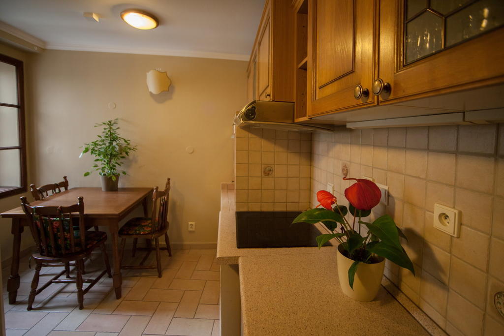 Apartment Nerudova By Interhome プラハ 部屋 写真